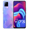 Vivo Y73