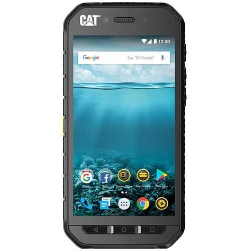 Cat S41