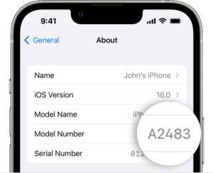 How to check iPhone Model